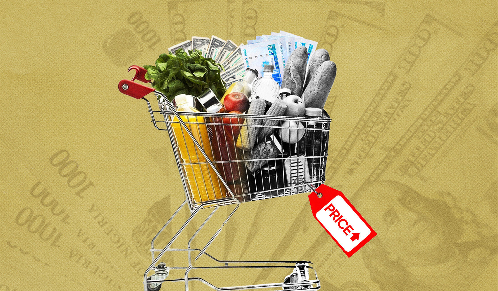 IMG-BLOG
